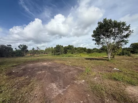 0 County Road 613, Angleton, TX 77515 photo 9