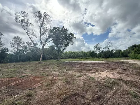 0 County Road 613, Angleton, TX 77515 photo 6