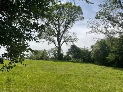 0 Riverside Plantation Rd, Chappell Hill, TX 77426