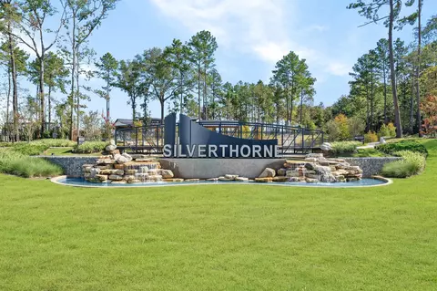 View/Area - 910 Sutherland Falls St, Conroe, TX 77303 photo 4 of 4