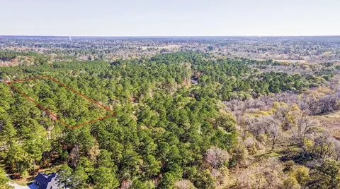 14-36 13 Sandpiper Dr, New Waverly, TX 77358