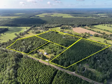 4 Cr 517, Kirbyville, TX 75956