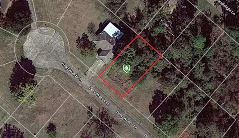 245 Deep Woods Ln, Livingston, TX 77351