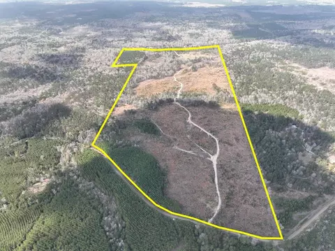 0 County Road 37, Jasper, TX 75951