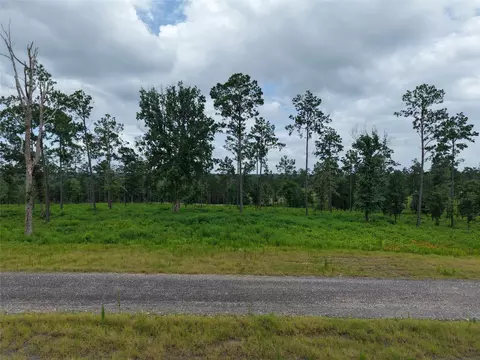 lot82 Grace Cir, Livingston, TX 77351