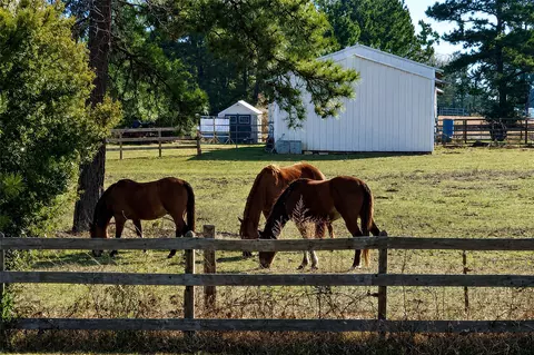 18803 Maverick Ranch Rd E, Magnolia, TX 77355