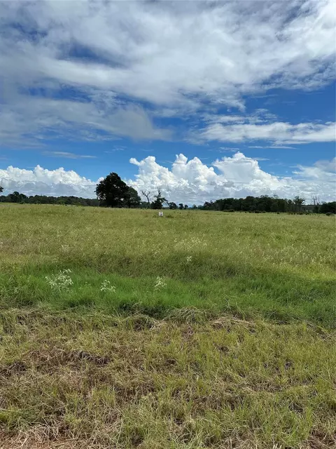 tbd Private Road 2316 Tr 47 Tr48, Centerville, TX 75833