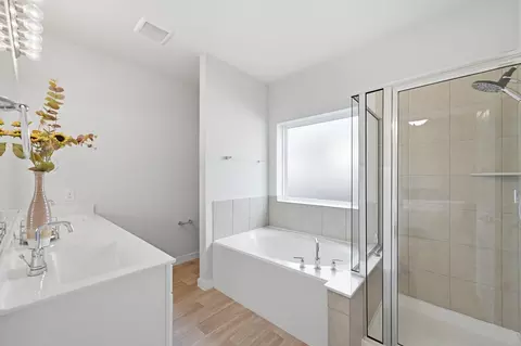 Bath - 21431 Indigo Ruth Dr, Spring, TX 77379 photo 2 of 4