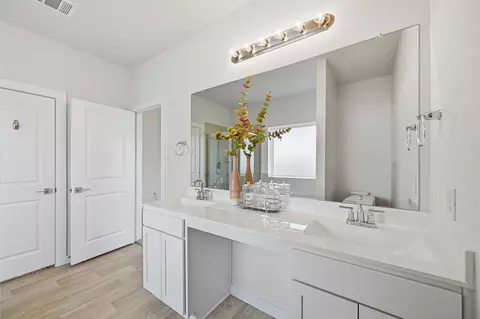 Bath - 21431 Indigo Ruth Dr, Spring, TX 77379 photo 1 of 4