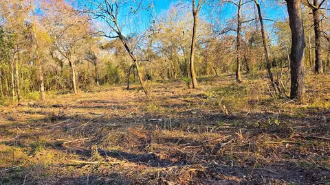 18503 Derrick Rd, Navasota, TX 77868