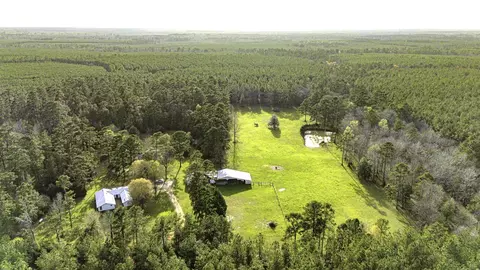 5146 Richardson Rd E, Livingston, TX 77351
