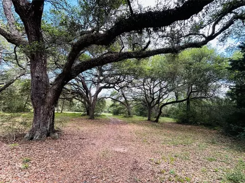 Exterior - 32 Acres Dunlavy, Cat Spring, TX 78933 photo 1 of 1