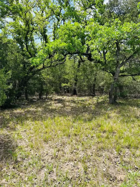 Other - 32 Acres Dunlavy, Cat Spring, TX 78933 photo 12 of 17