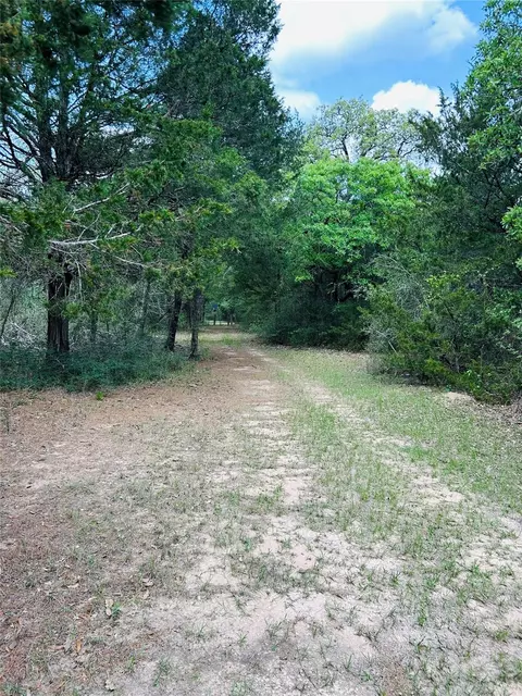 Other - 32 Acres Dunlavy, Cat Spring, TX 78933 photo 10 of 17