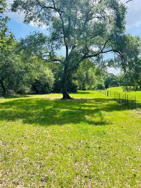 Other - 32 Acres Dunlavy, Cat Spring, TX 78933 photo 5 of 17