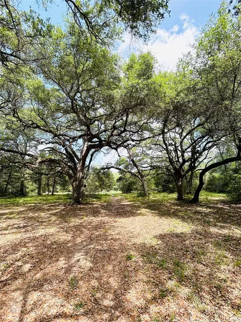 Other - 32 Acres Dunlavy, Cat Spring, TX 78933 photo 6 of 17