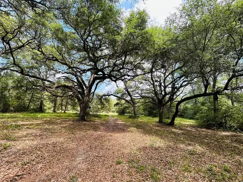 Other - 32 Acres Dunlavy, Cat Spring, TX 78933 photo 3 of 17