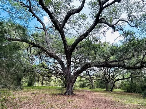 50 Acres Dunlavy, Cat Spring, TX 78933