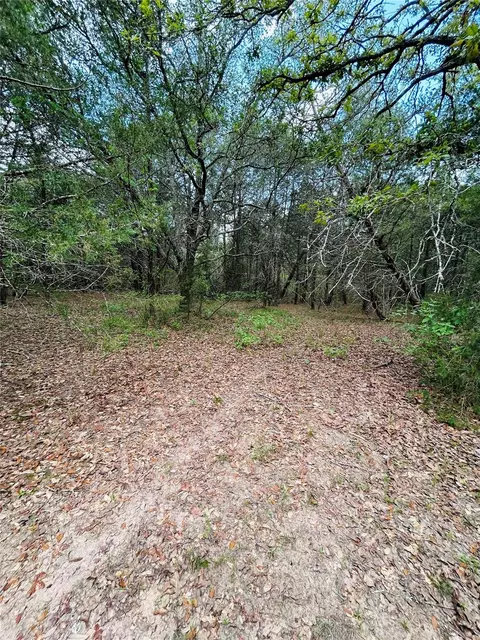 Other - 32 Acres Dunlavy, Cat Spring, TX 78933 photo 8 of 17