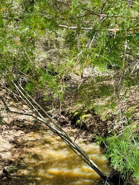 Other - 32 Acres Dunlavy, Cat Spring, TX 78933 photo 4 of 17
