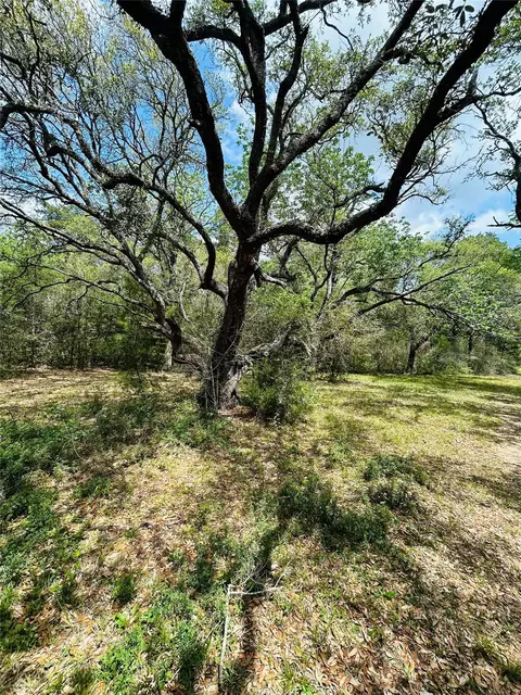 Other - 32 Acres Dunlavy, Cat Spring, TX 78933 photo 14 of 17