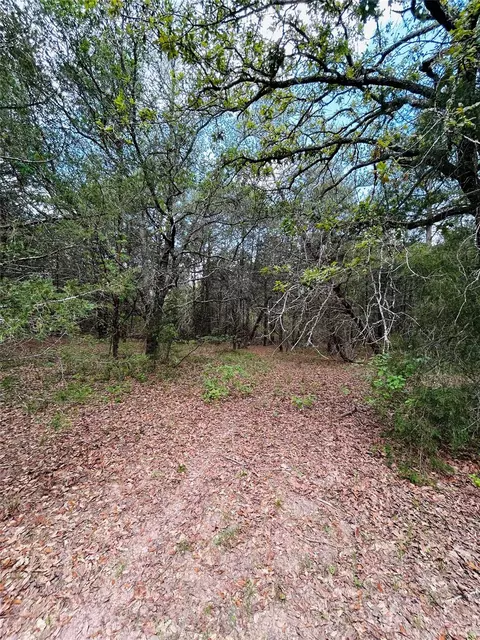 Other - 32 Acres Dunlavy, Cat Spring, TX 78933 photo 11 of 17
