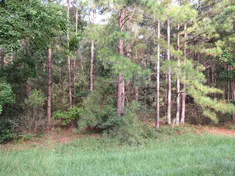 28046 Crossway Oaks, Magnolia, TX 77355