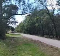 tbd Twin Lakes Dr, Guy, TX 77444 photo 2