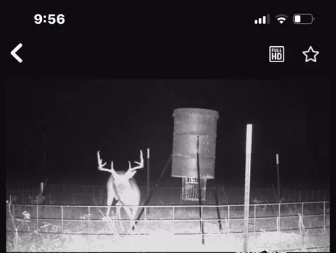 0000 Magee Bend Loop, Groveton, TX 75845 photo 4