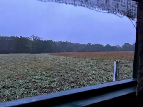 0000 Magee Bend Loop, Groveton, TX 75845 photo 6