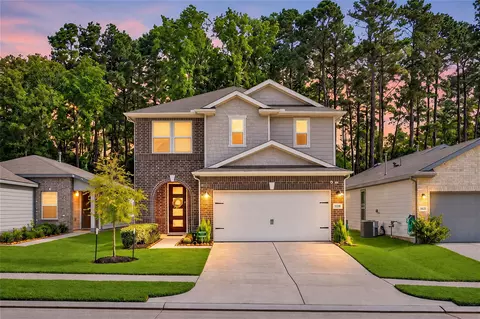 9538 Louis Phillip St, Magnolia, TX 77354