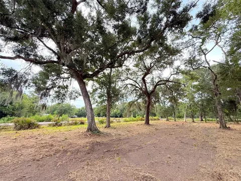 lot12 A1 Cr 345, Brazoria, TX 77422