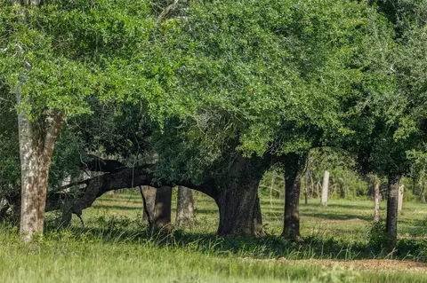 Other - 16204 Newberg Rd, Cat Spring, TX 78933 photo 4 of 20