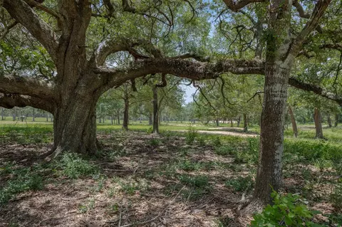 Exterior - 16204 Newberg Rd, Cat Spring, TX 78933 photo 4 of 5