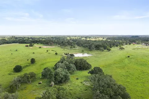 View/Area - 16204 Newberg Rd, Cat Spring, TX 78933 photo 13 of 15