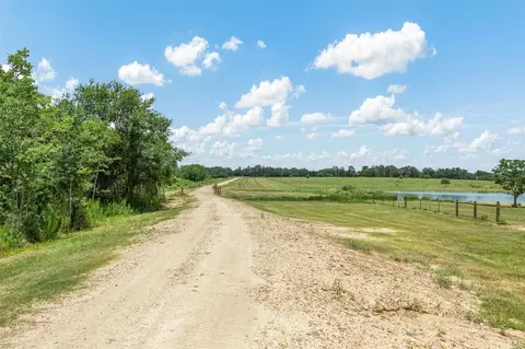 Other - 16204 Newberg Rd, Cat Spring, TX 78933 photo 6 of 20