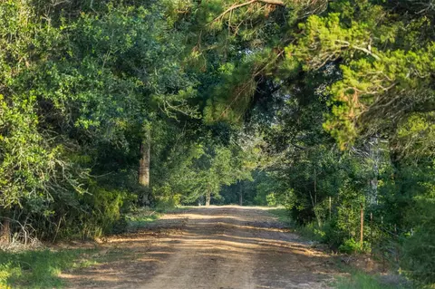 Other - 16204 Newberg Rd, Cat Spring, TX 78933 photo 16 of 20
