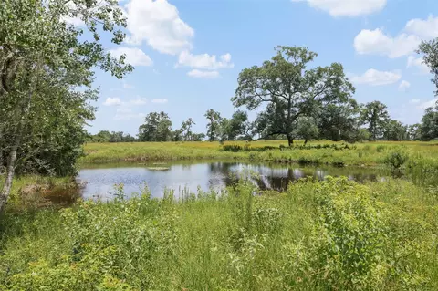View/Area - 16204 Newberg Rd, Cat Spring, TX 78933 photo 4 of 15