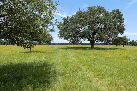 Other - 16204 Newberg Rd, Cat Spring, TX 78933 photo 8 of 20