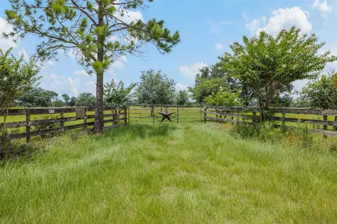 Exterior - 16204 Newberg Rd, Cat Spring, TX 78933 photo 3 of 5