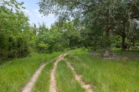 Other - 16204 Newberg Rd, Cat Spring, TX 78933 photo 10 of 20