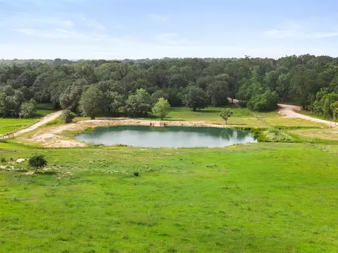 View/Area - 16204 Newberg Rd, Cat Spring, TX 78933 photo 12 of 15