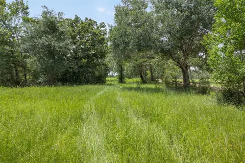 Other - 16204 Newberg Rd, Cat Spring, TX 78933 photo 11 of 20