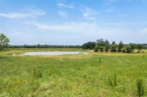 View/Area - 16204 Newberg Rd, Cat Spring, TX 78933 photo 3 of 15