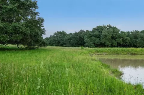 Other - 16204 Newberg Rd, Cat Spring, TX 78933 photo 18 of 20