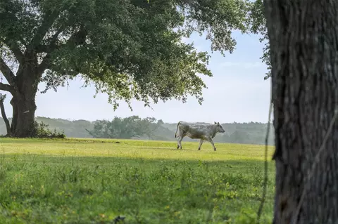 Other - 16204 Newberg Rd, Cat Spring, TX 78933 photo 2 of 20