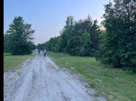 21564 Harrison Dr, Bedias, TX 77831