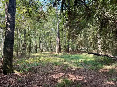 tbd Stonetown Rd, Beaumont, TX 77713