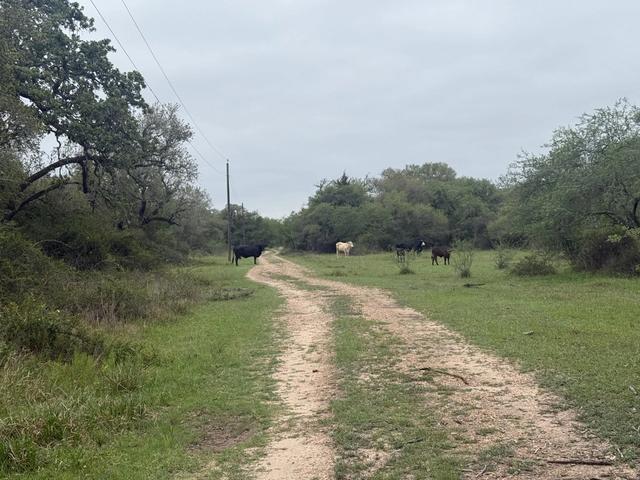 tbd County Road 284, Edna, TX 77957