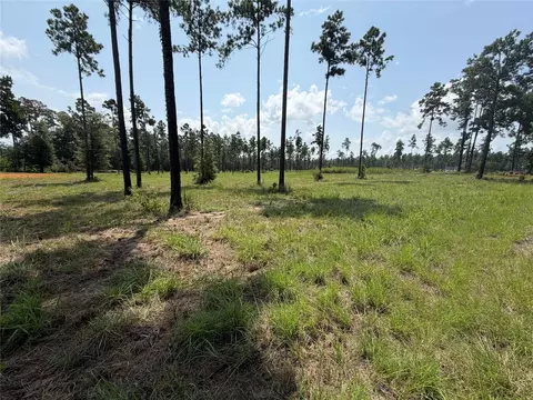 1000 Private Road 6026, Brookeland, TX 75931